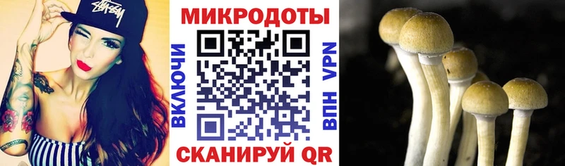 Псилоцибиновые грибы ЛСД  mega как войти  Невинномысск 