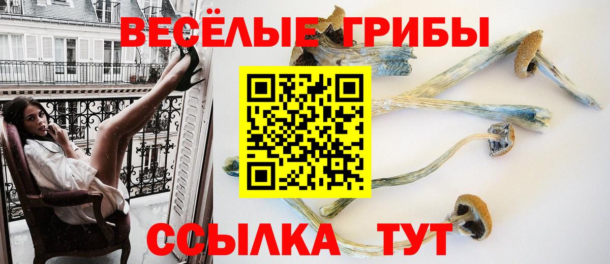 Псилоцибиновые грибы Magic Shrooms Невинномысск