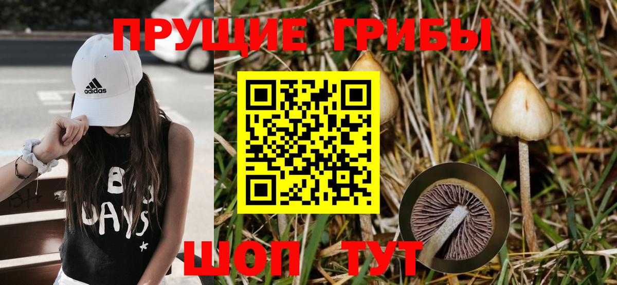 Псилоцибиновые грибы Cubensis  Галлюциногенные грибы мухоморы  Невинномысск  Вход с VPN 